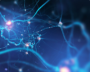 מערכת העצבים ההיקפית